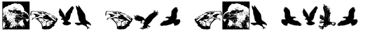 Ihre Vorschau von der Schriftart Eagle Mania