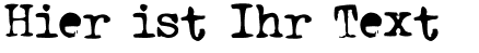 Ihre Vorschau von der Schriftart Triumph Tippa