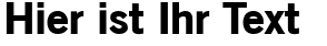 Ihre Vorschau von der Schriftart OldSansBlack