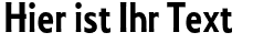 Ihre Vorschau von der Schriftart Collegiate