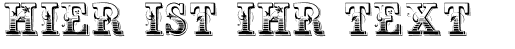 Ihre Vorschau von der Schriftart Holtzschue