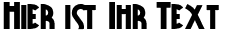 Ihre Vorschau von der Schriftart Public Enemy
