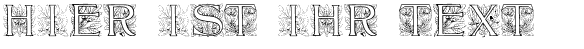 Ihre Vorschau von der Schriftart Acorn Initials