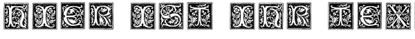 Ihre Vorschau von der Schriftart Typographer Woodcut Initials One