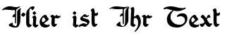 Ihre Vorschau von der Schriftart Washington Text