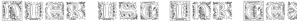 Ihre Vorschau von der Schriftart Gothic Illuminate