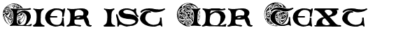 Ihre Vorschau von der Schriftart Spiral Initials
