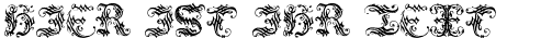 Ihre Vorschau von der Schriftart Ornamental Initial