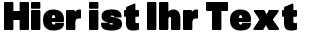 Ihre Vorschau von der Schriftart SansBlack