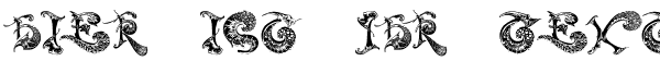 Ihre Vorschau von der Schriftart Schnoerkel Caps