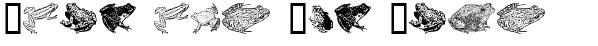 Ihre Vorschau von der Schriftart Amphibi Print