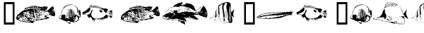 Ihre Vorschau von der Schriftart FishyPrint AOE
