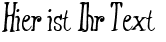 Ihre Vorschau von der Schriftart Xtraflexidisc
