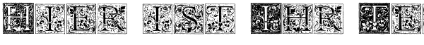 Ihre Vorschau von der Schriftart Florana Initials