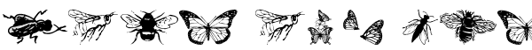 Ihre Vorschau von der Schriftart WM Insects
