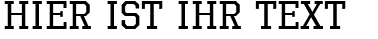 Ihre Vorschau von der Schriftart Octin Sports Free