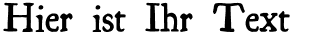 Ihre Vorschau von der Schriftart Essays 1743