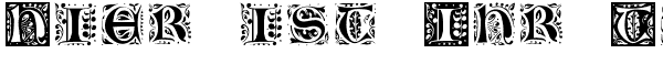 Ihre Vorschau von der Schriftart Gothic Leaf