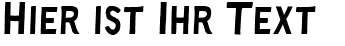 Ihre Vorschau von der Schriftart Ray Johnson