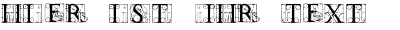 Ihre Vorschau von der Schriftart Codex