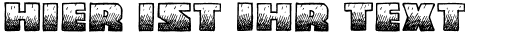 Ihre Vorschau von der Schriftart Midnight Snack BB