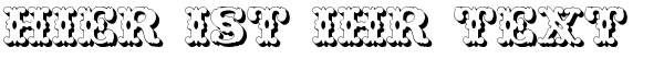 Ihre Vorschau von der Schriftart Wild West Shadow