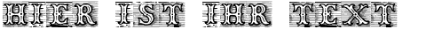 Ihre Vorschau von der Schriftart TagWood