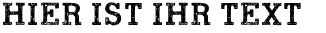 Ihre Vorschau von der Schriftart Road Movie