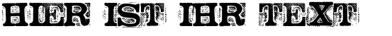 Ihre Vorschau von der Schriftart Network Vampires