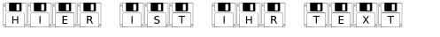 Ihre Vorschau von der Schriftart Floppy Disk
