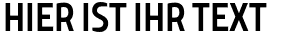 Ihre Vorschau von der Schriftart TT Teds