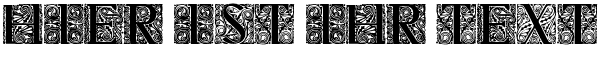 Ihre Vorschau von der Schriftart Behrens Antiqua Initialen