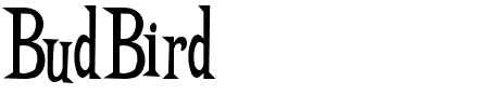 TTF: BudBird Schriftart