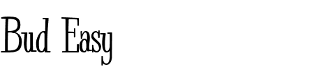 TTF: Bud Easy Schriftart