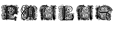 Schriftart Paulus Franck Initialen: Mehr Infos & Vorschau Generator TTF: Paulus Franck Initialen Schriftart