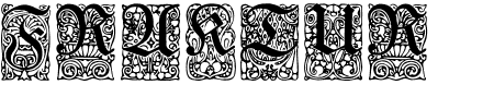 Schriftart Unger-Fraktur Zierbuchstaben: Mehr Infos & Zeichen Übersicht TTF: Unger-Fraktur Zierbuchstaben Schriftart