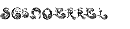 Schriftart Schnoerkel Caps: Mehr Infos & Vorschau Generator TTF: Schnoerkel Caps Schriftart