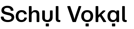 Schriftart Schul Vokal: Mehr Infos & Vorschau Generator TTF: Schul Vokal Schriftart