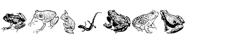 TTF: AmphibiPrint Schriftart