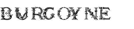 Schriftart Burgoyne Initials: Mehr Infos & Vorschau Generator TTF: Burgoyne Initials Schriftart