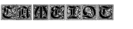 TTF: Camelot Initials Font