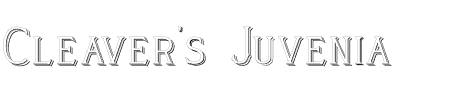 Font Cleaver's Juvenia Raised: Mehr Infos & Zeichen Übersicht TTF: Cleaver's Juvenia Raised Font