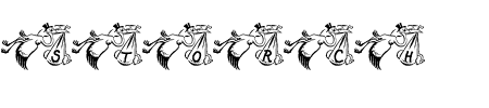 Schriftart Storch: Mehr Infos & Vorschau Generator TTF: Storch Schriftart