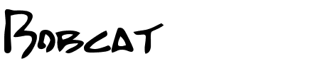 Schriftart Bobcat: Mehr Infos & Zeichen Übersicht TTF: Bobcat Schriftart