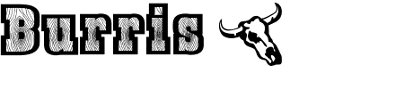 Schriftart Burris: Mehr Infos & Vorschau Generator TTF: Burris Schriftart