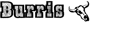 BurrisGhostTown Schriftart