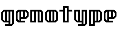 Schriftart genotype H BRK: Mehr Infos & Vorschau Generator TTF: genotype H BRK Schriftart