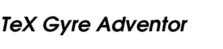 TeX Gyre Adventor Bold Italic Schriftart
