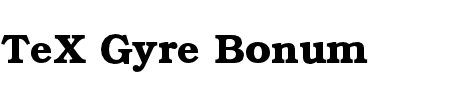 TeX Gyre Bonum Bold Schriftart