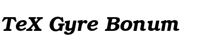 TeX Gyre Bonum Bold Italic Schriftart